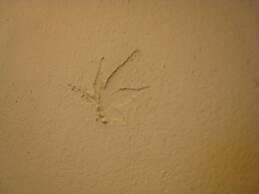 Guest House Umebachi - Hostel