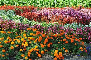 Shibetsu Inn Suigetsu