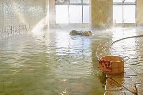 Ooedo Onsen Monogatari Hotel Shinko