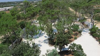 Antica Villa del Conte