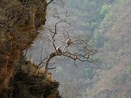 Auranya The Mystical Himalayan Retreat