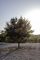 Finca Gomera, Luxury Country House