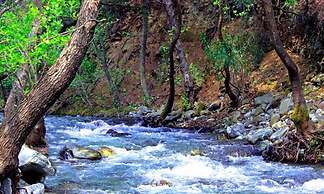 Antik Vadi Bungalov Otel