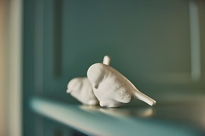 The July - Boat & Co