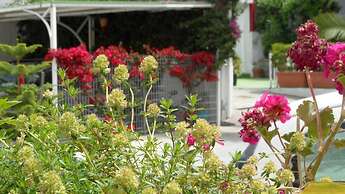 Residence Pensione Mena