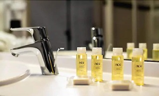 ACE Hôtel Paris Sud Villabe