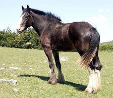 Réserve Naturelle de Boussière