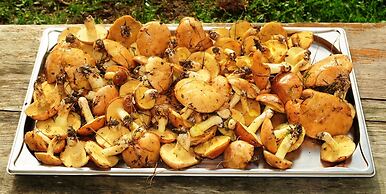 Réserve Naturelle de Boussière