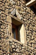 Réserve Naturelle de Boussière