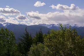 Buena Vida Social Club