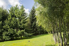 Buena Vida Social Club