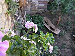 Stone House Andromeda