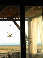 Stone House Andromeda