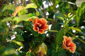 Angelo Del' Arte Estate