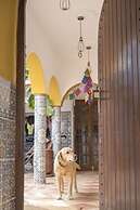 Maison Darna Guesthouse