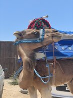 Maison Darna Guesthouse