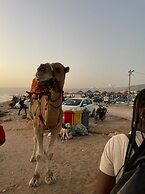 Maison Darna Guesthouse