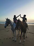 Maison Darna Guesthouse