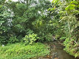 Rooms Flora y Fauna del Arenal