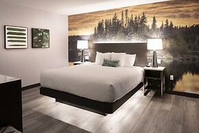 Cambria Hotel Shelby Township - Detroit Utica