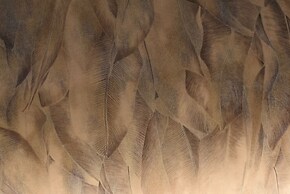 Bamboo Garden Tokyo - Adults Only