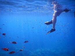 Guest House Darumaya - Hostel