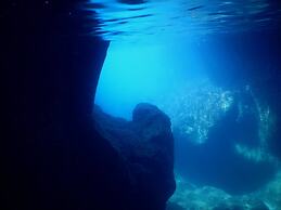 Guest House Darumaya - Hostel