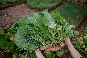 Mai Chau Mountain View Resort