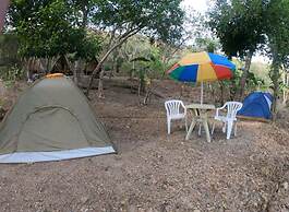 Singalong Nature Camphill Site