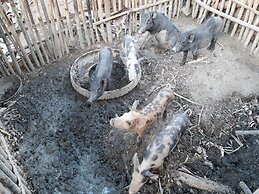 Singalong Nature Camphill Site