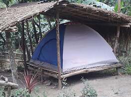 Singalong Nature Camphill Site
