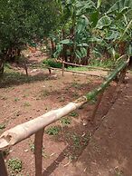 Singalong Nature Camphill Site