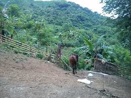 Singalong Nature Camphill Site