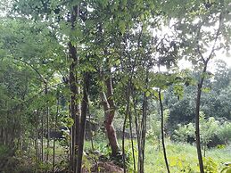 Singalong Nature Camphill Site