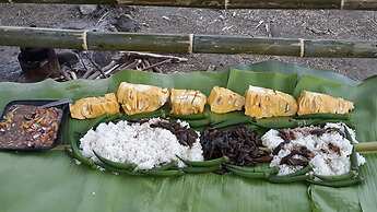 Singalong Nature Camphill Site