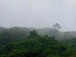 Singalong Nature Camphill Site