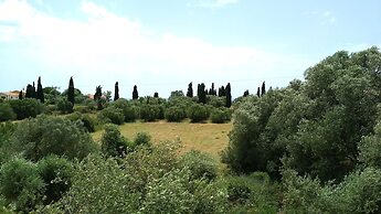 Casa de Rosa Apartments