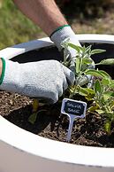 Sulia House Porto Rotondo, Curio Collection by Hilton