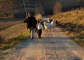 Azienda Agricola I Colli di Marliano