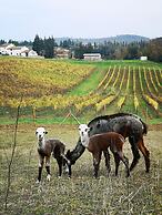Azienda Agricola I Colli di Marliano