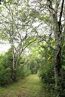 Alta Gracia Parque Hotel