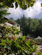 Alishan Mao Hsin B&B