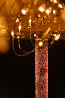 Fontaine Bleau Sengokutei