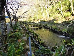 Bunbury Fruit Ranch B&B