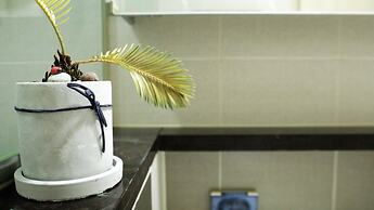 Location in Myeongdong Studio