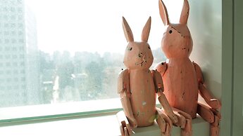 Location in Myeongdong Studio