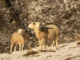 Judge & Jury Farm Retreat