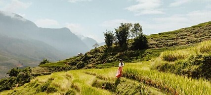 Sapa Eco Bungalows