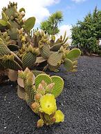 Casa del Erizo - Ecofinca