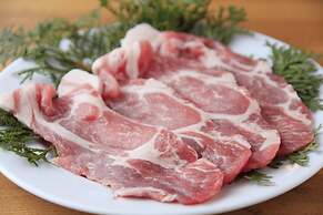 Mongolia Village Tenger